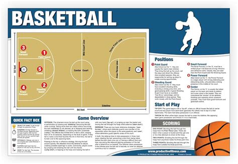 5 positions in basketball|5 Basketball Positions & Roles Explained (Chart).